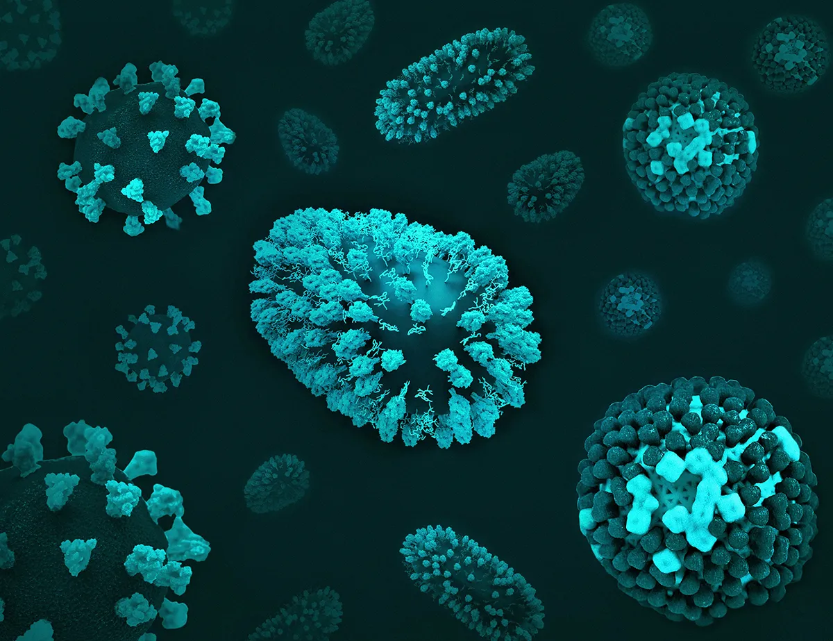 Bioaumentación Bacteriana